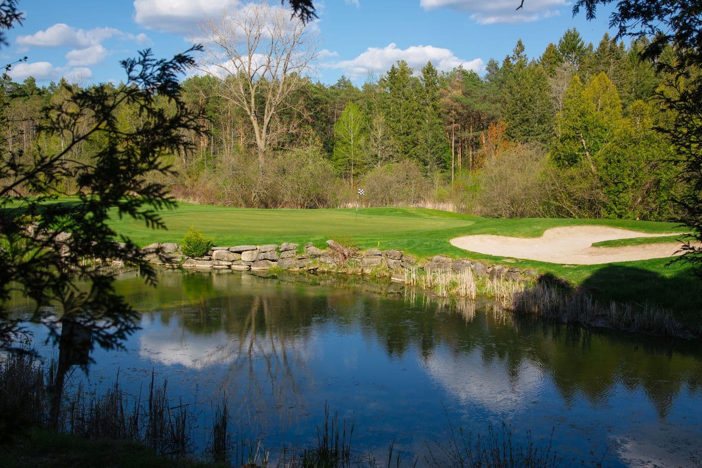 Black Bear Ridge Golf & Resort — photo 2