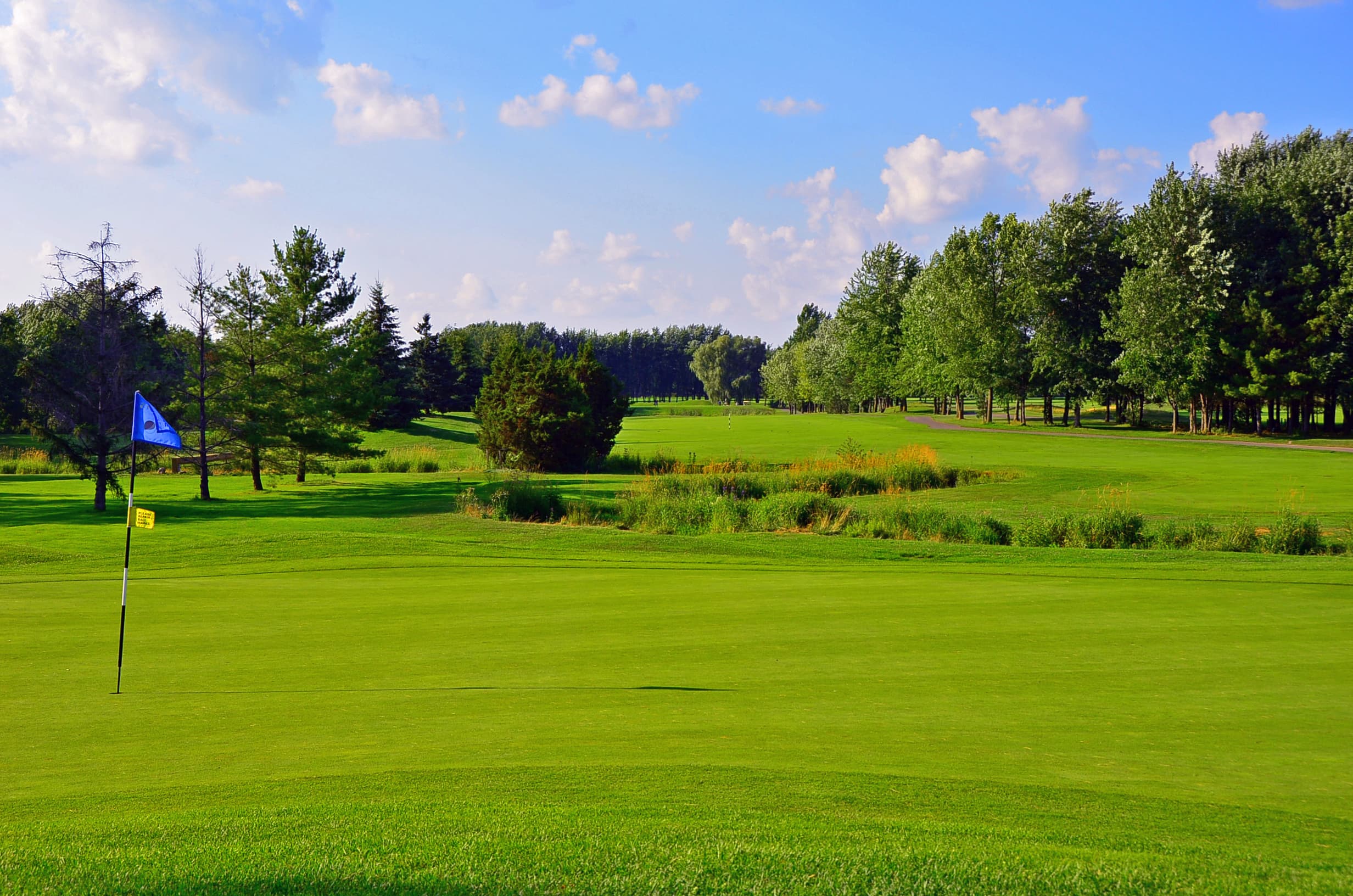 Century Pines Golf Club — photo 2
