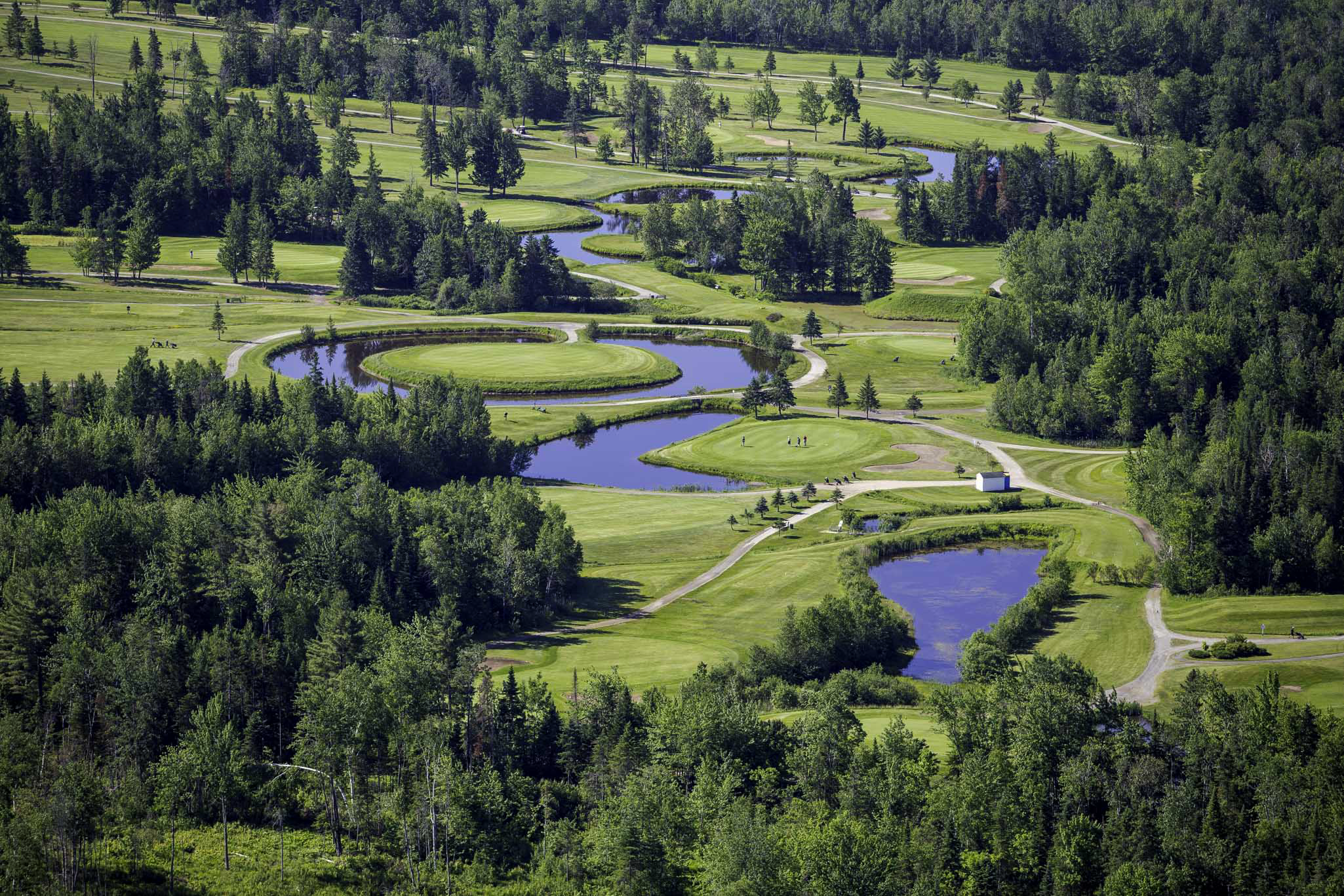 Club de golf Venise - Le Sherbrooke — photo 3