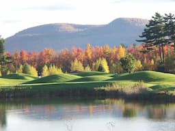 Course Image 4