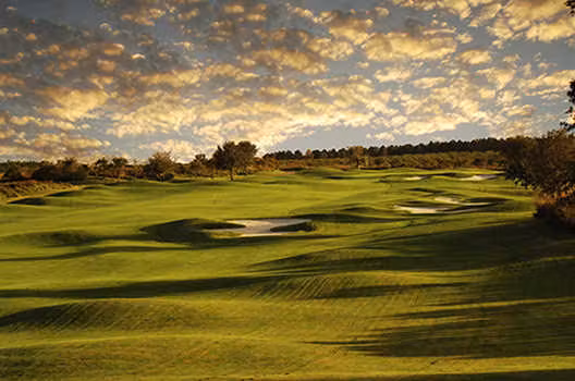 Orange County National- Crooked Cat Course — golf in Florida