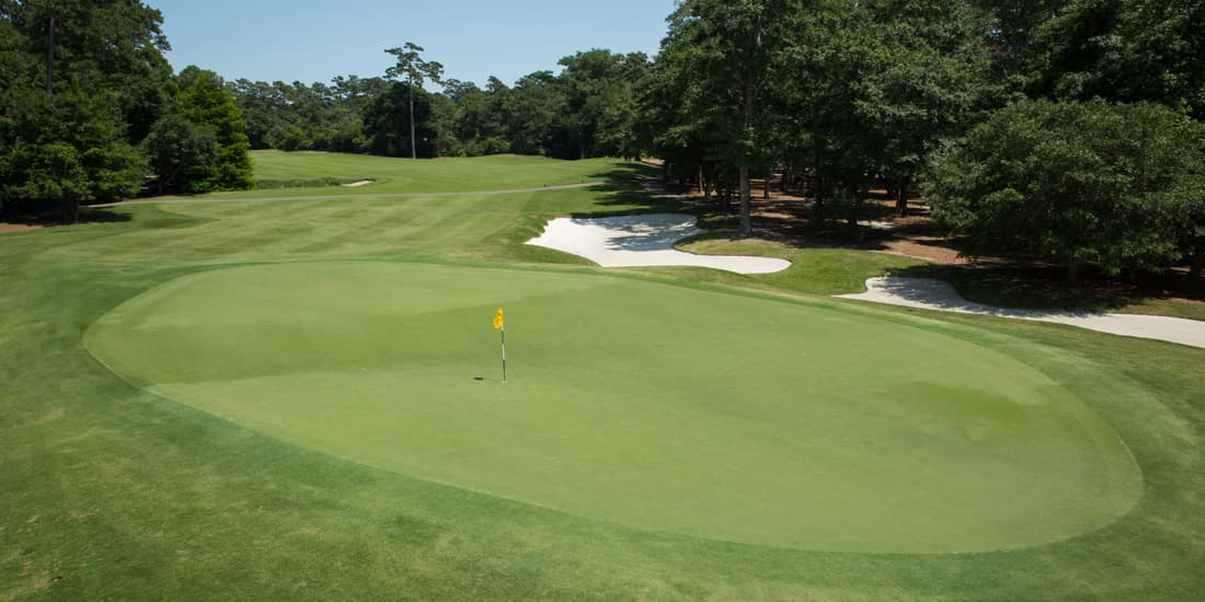 Caledonia Golf & Fish Club — photo 5