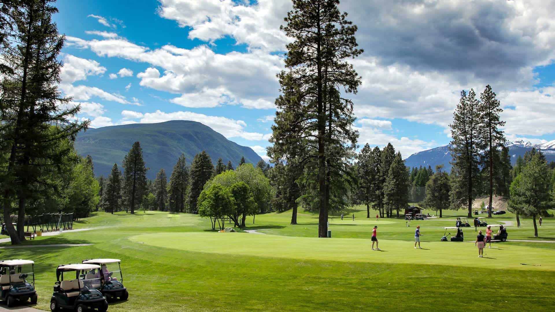 Purcell Golf — photo 3