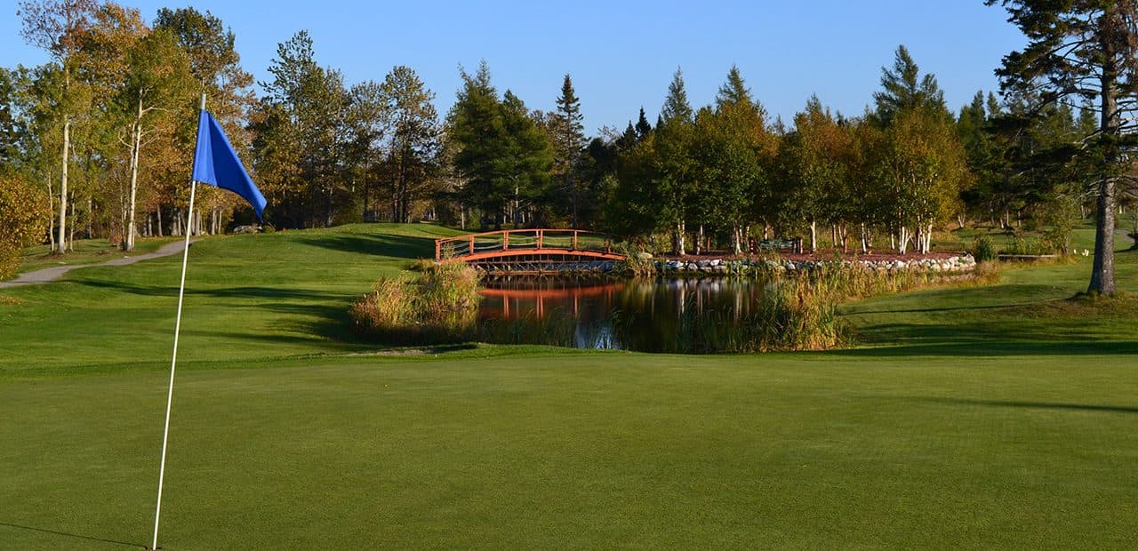Club De Golf L‘Empress — photo 5