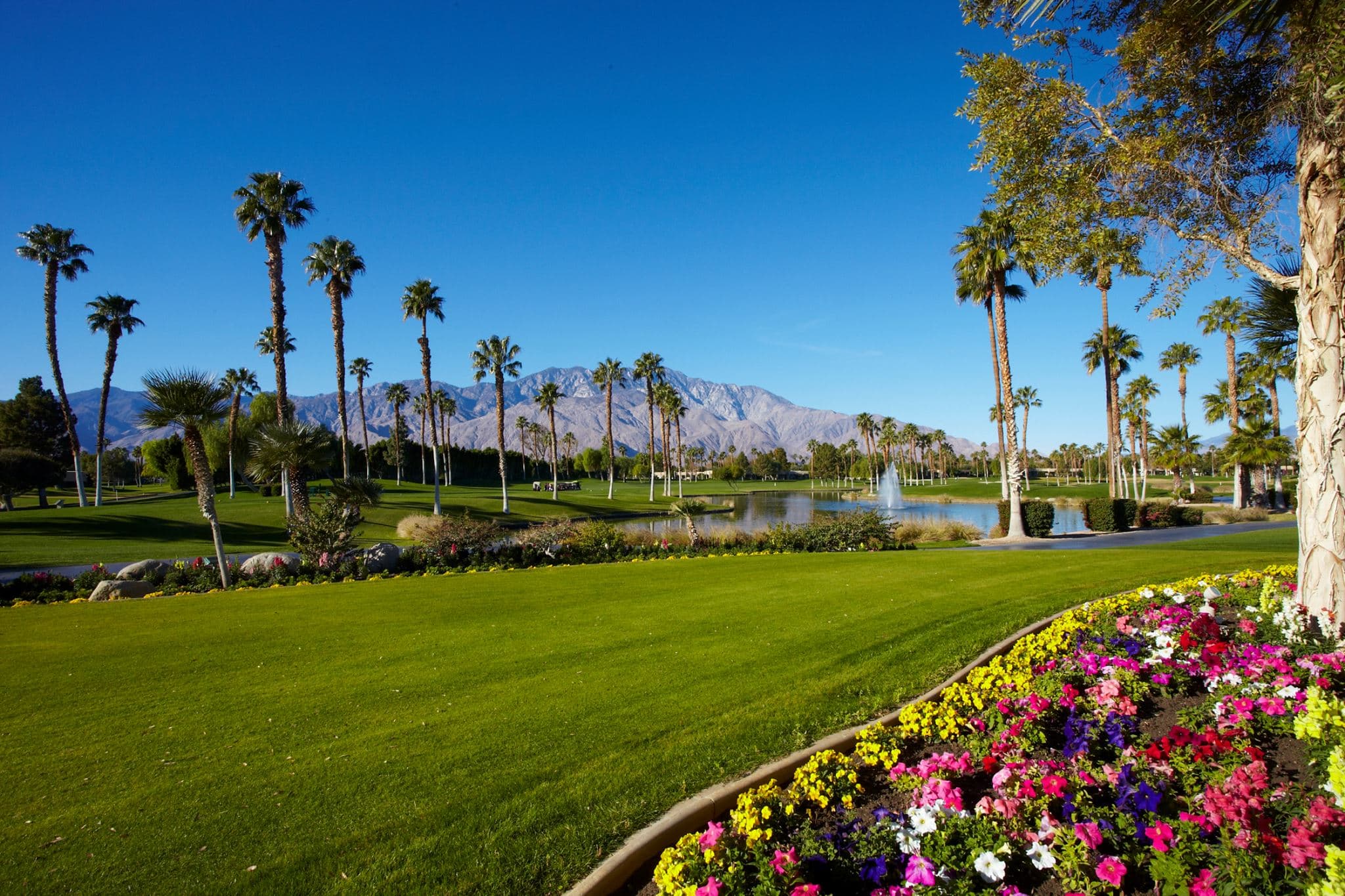 Desert Princess Country Club — photo 3