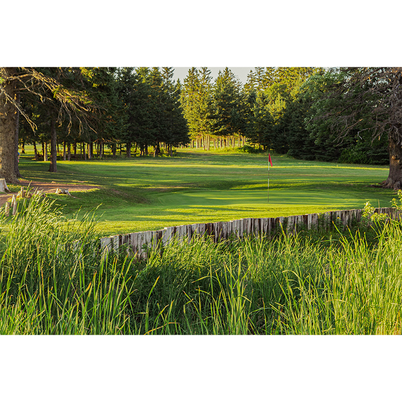 Forest Hills Golf Course — photo 2