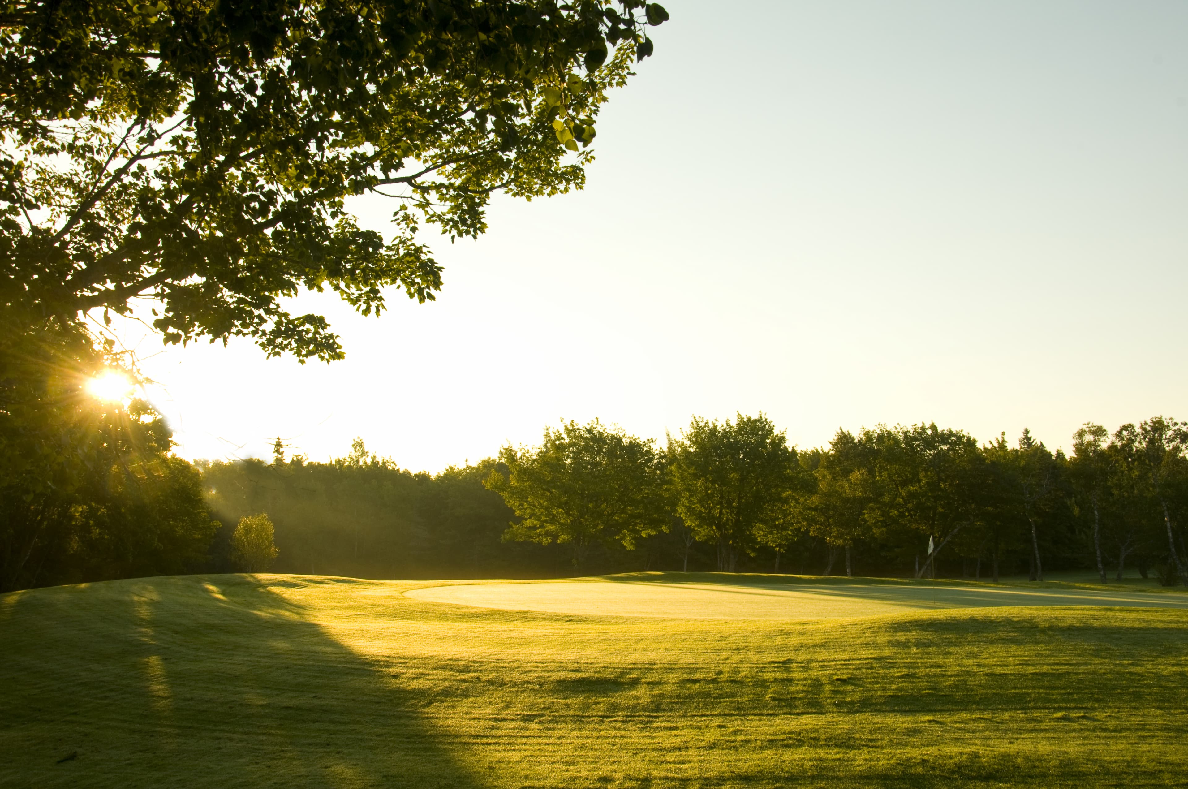 Should You Rent a Car for a Golf Trip to Canada?