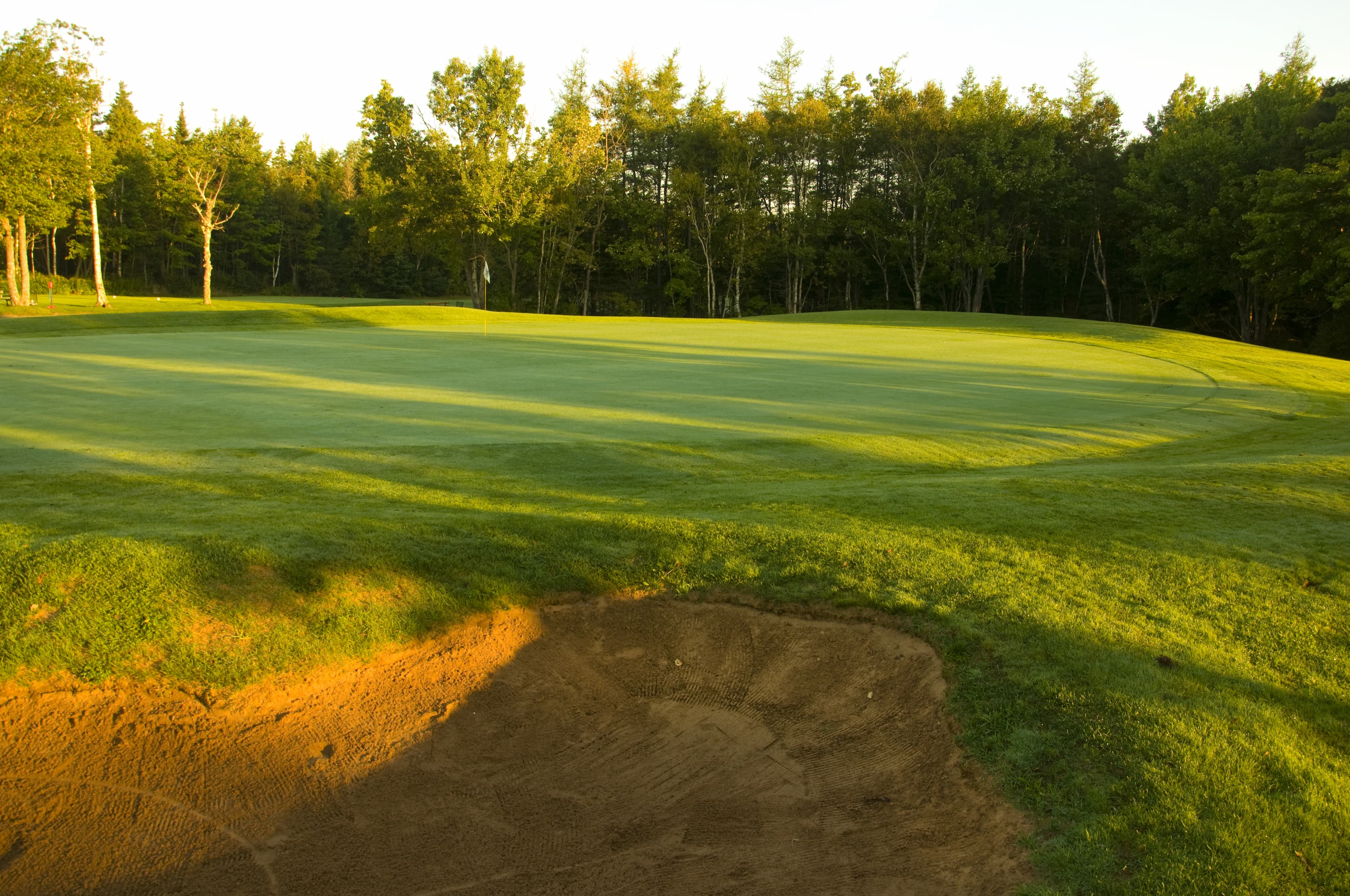 Lingan Golf Club — photo 2