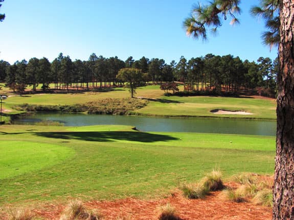 Hyland Golf Club — photo 5