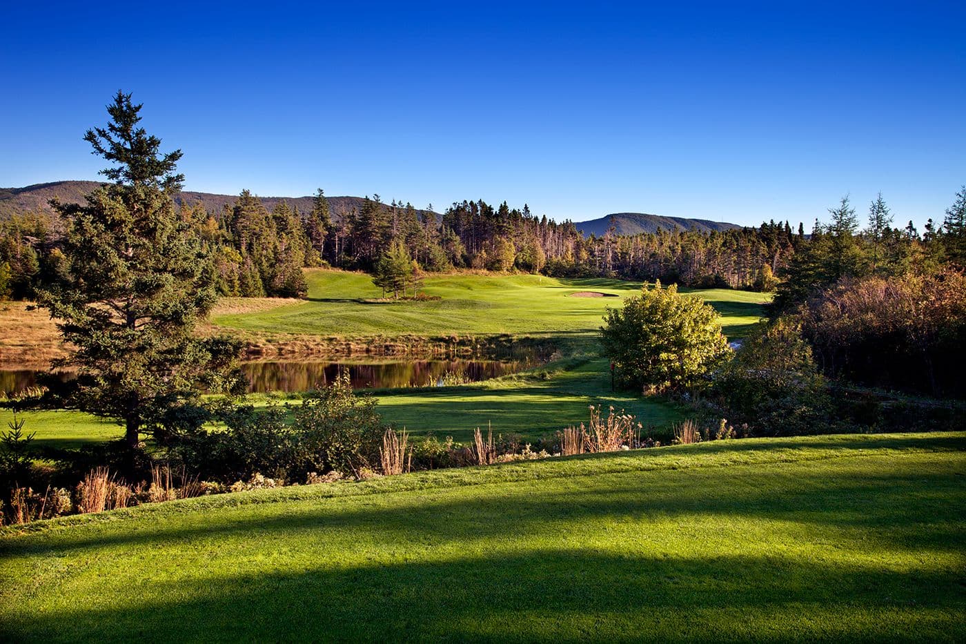 Le Portage Golf Club — photo 4