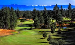 Course Image 2
