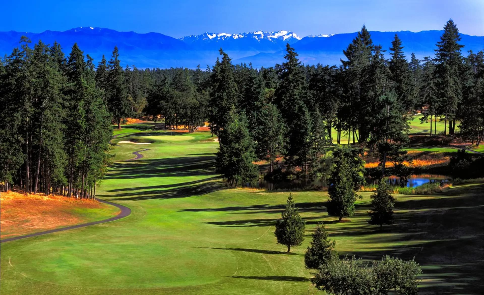Olympic View Golf Club — photo 2