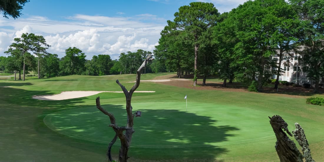 Sea Trail Resort (Maples Course) — photo 2