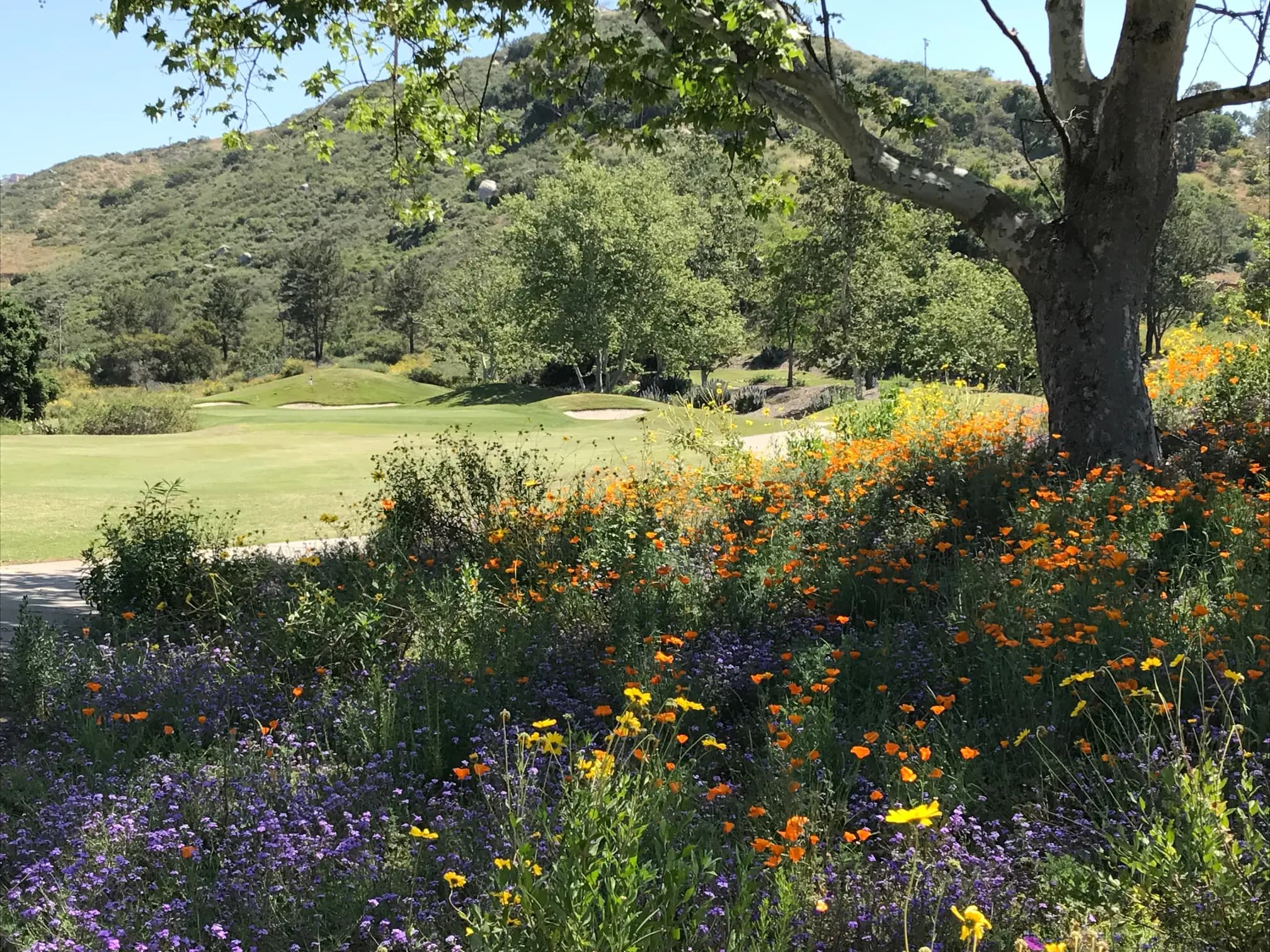 Steele Canyon Golf Club — photo 2