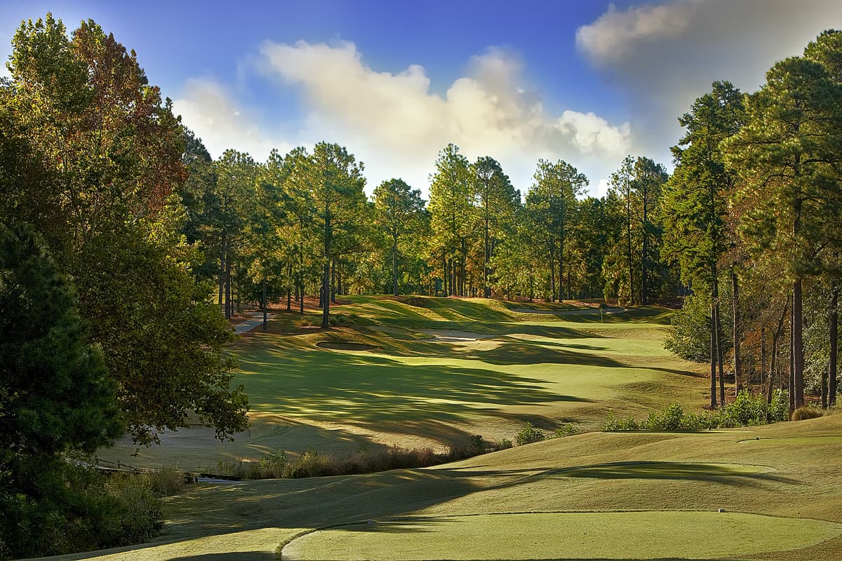 Talamore Golf Resort — photo 4
