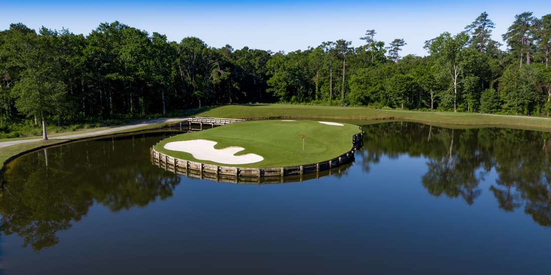 World Tour Golf Links — photo 4