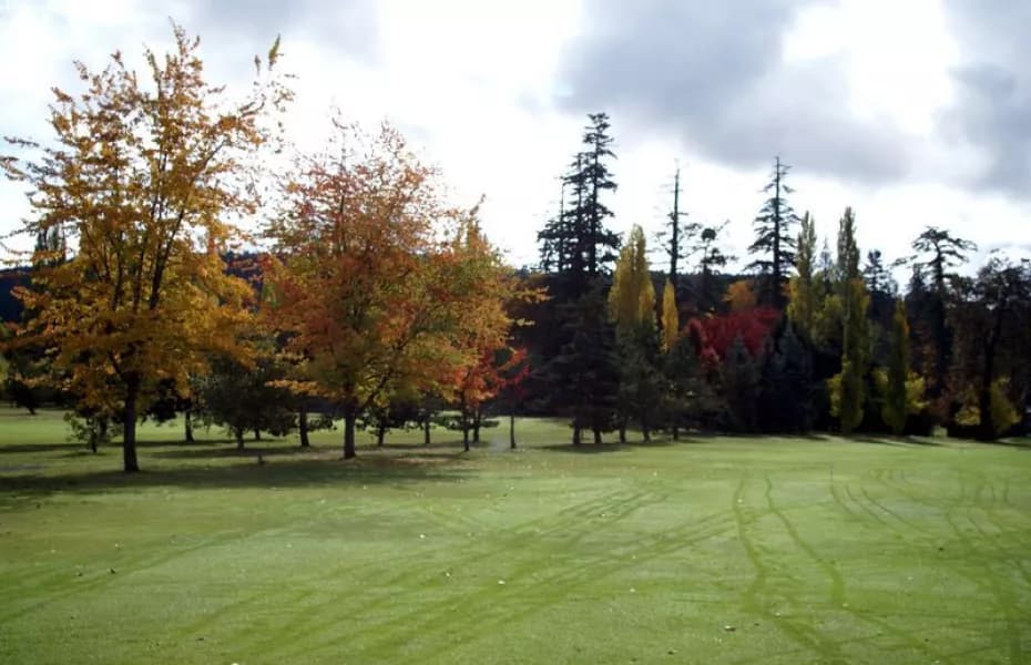 Ardmore Golf Course — photo 2