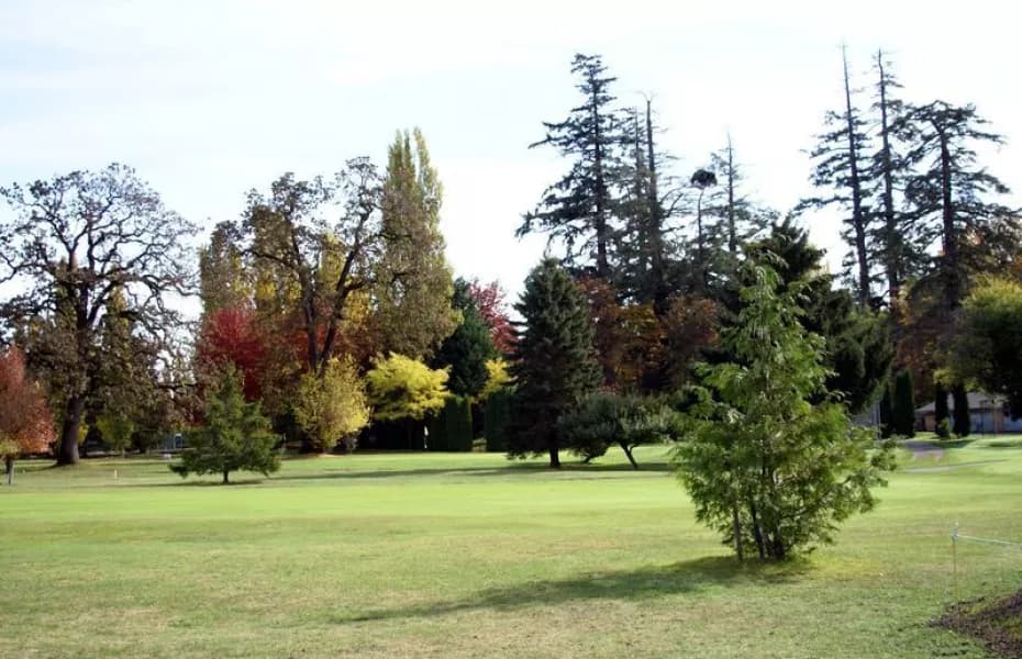 Ardmore Golf Course — photo 3