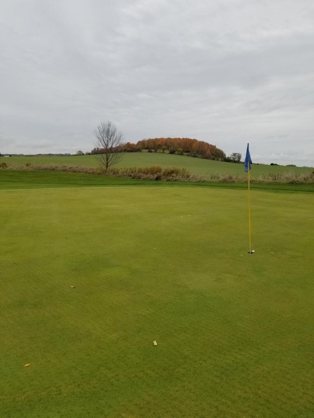 Ash Brook Golf Club — photo 2