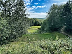 Course Image 1