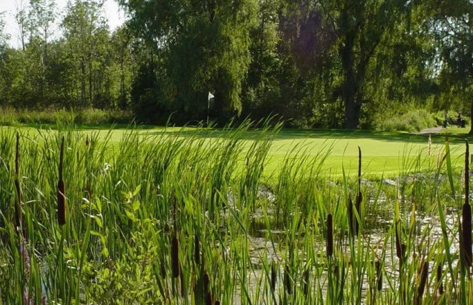 Barcovan Golf Club — photo 2