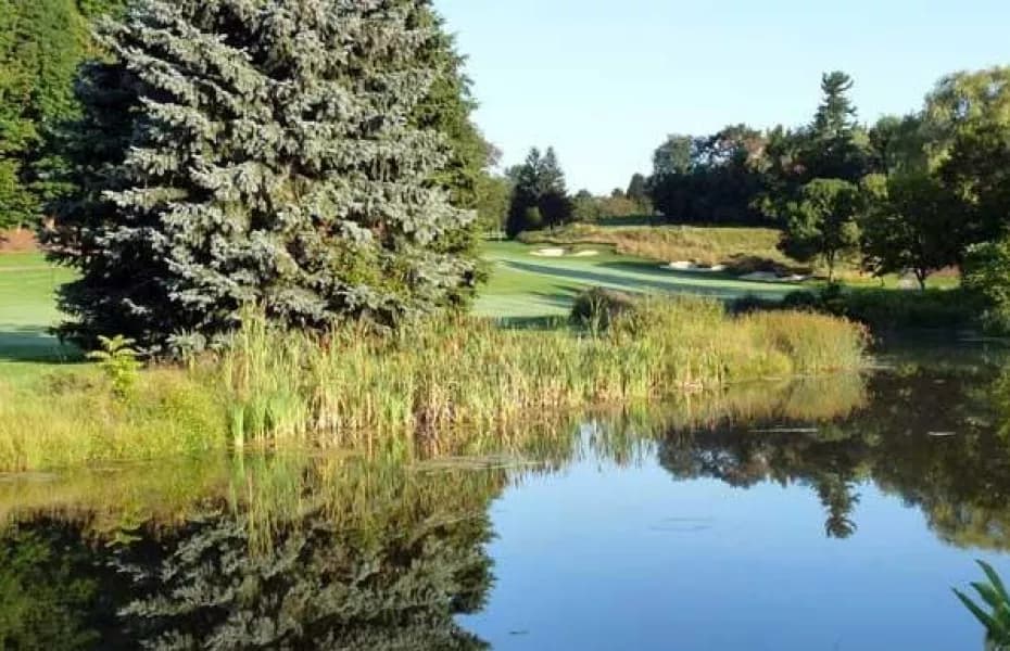 Bayview Golf & Country Club — photo 3
