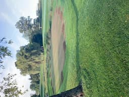 Course Image 2