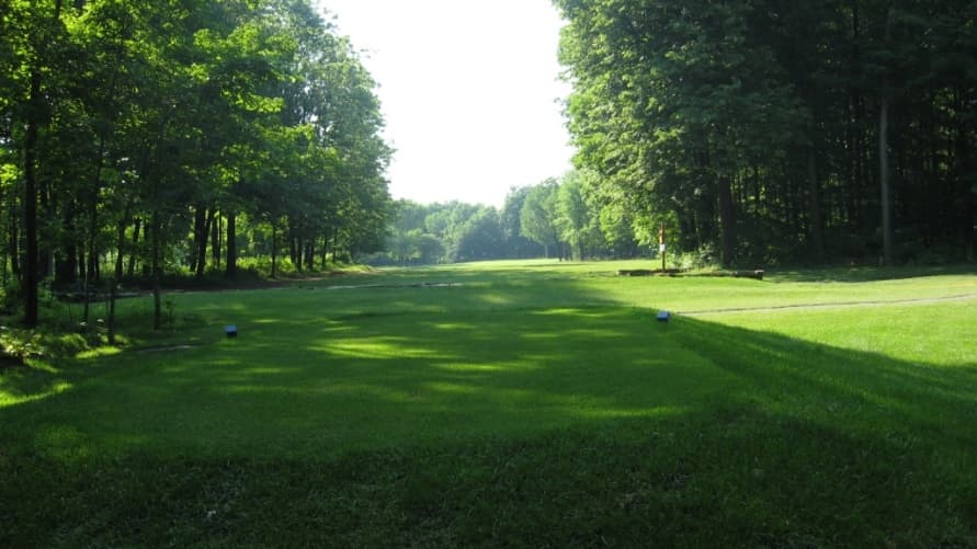 Bellevue Golf Course — photo 2