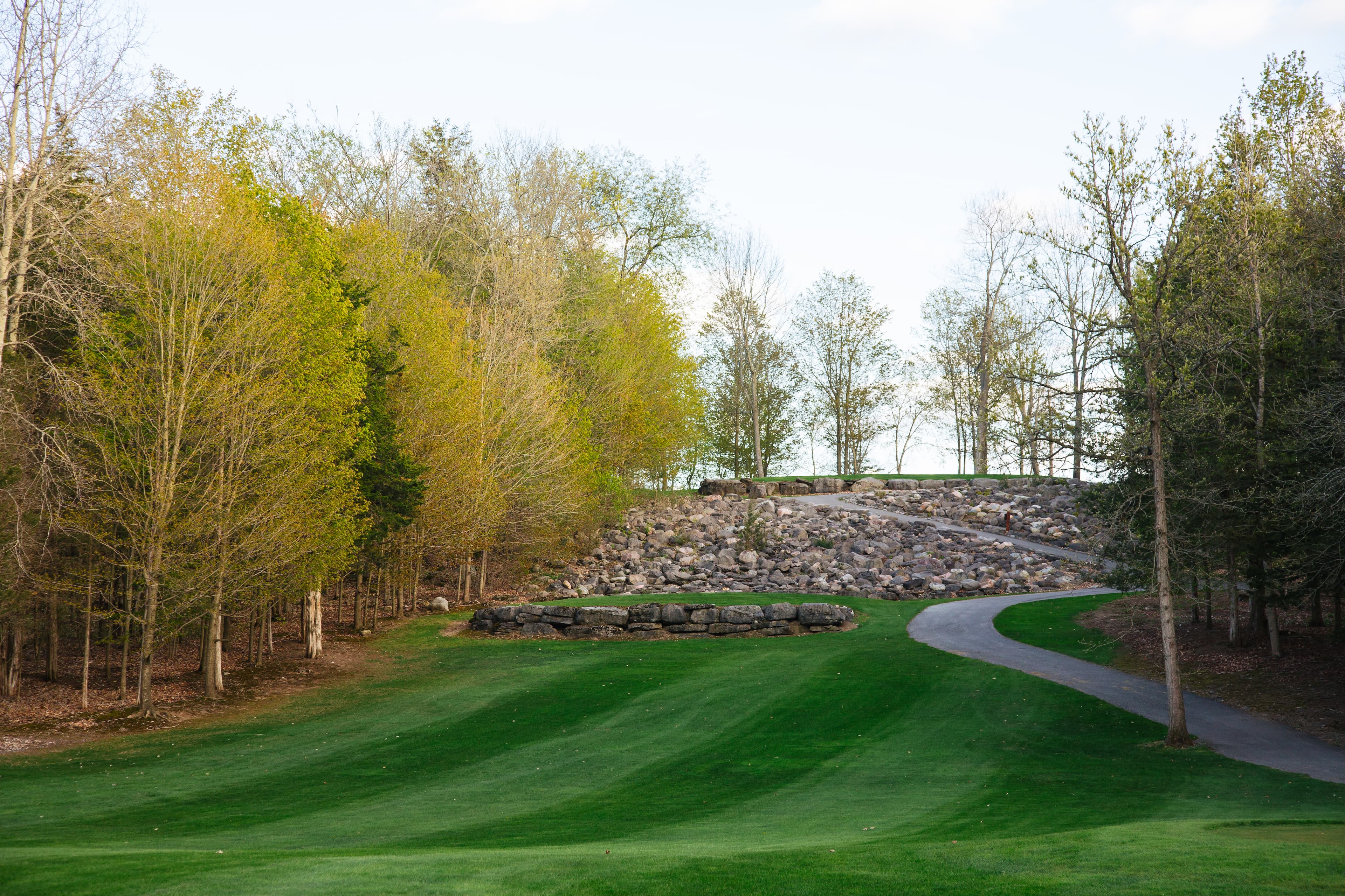 Black Bear Ridge Golf Course — photo 3