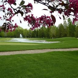 Course Image 1
