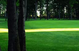 Course Image 2