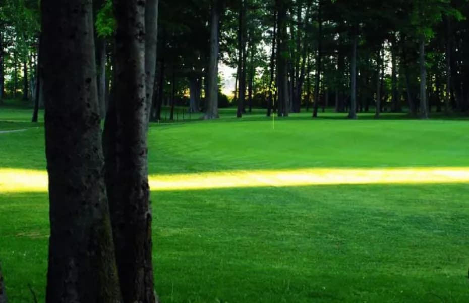 Burford Golf Links — photo 2