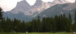 Course Image 5