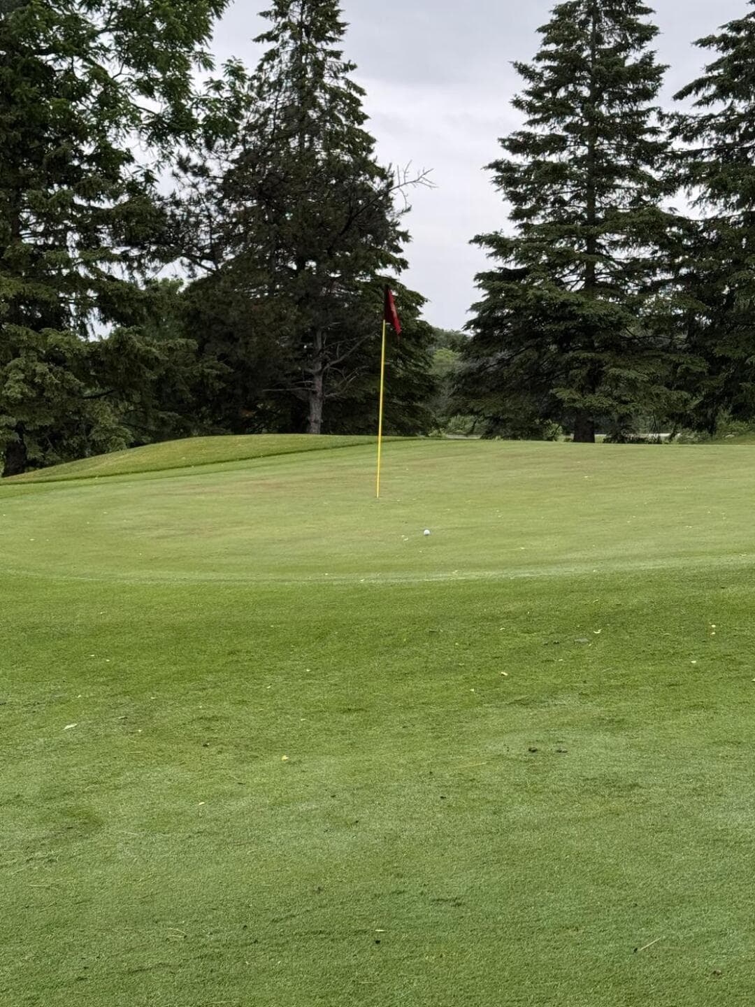 Cherry Downs Golf & Country Club — photo 2