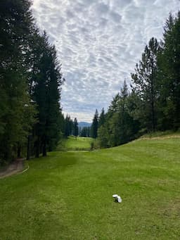 Course Image 1