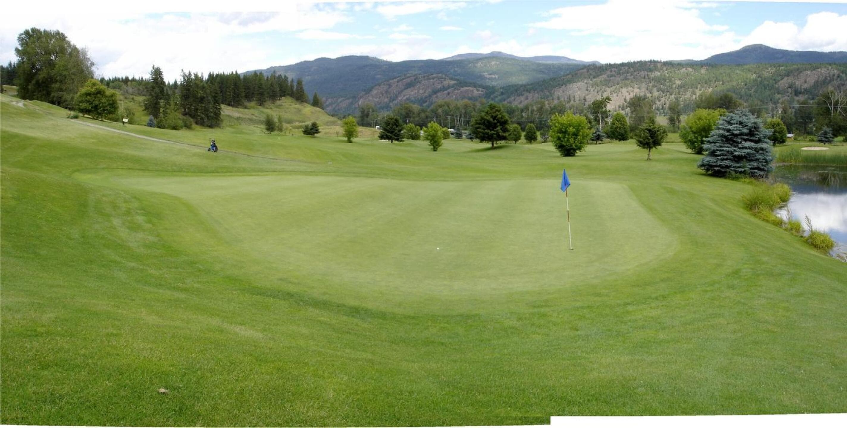 Chinook Cove Golf — photo 3