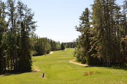 Course Image 1