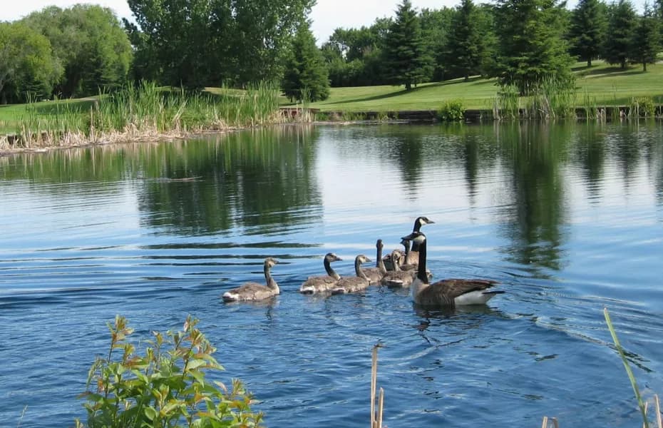 Cooke Municipal Golf Course — photo 3