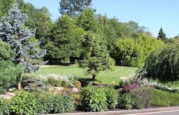 Course Image 1