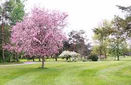 Course Image 1