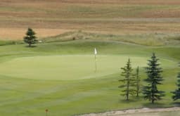 Course Image 1