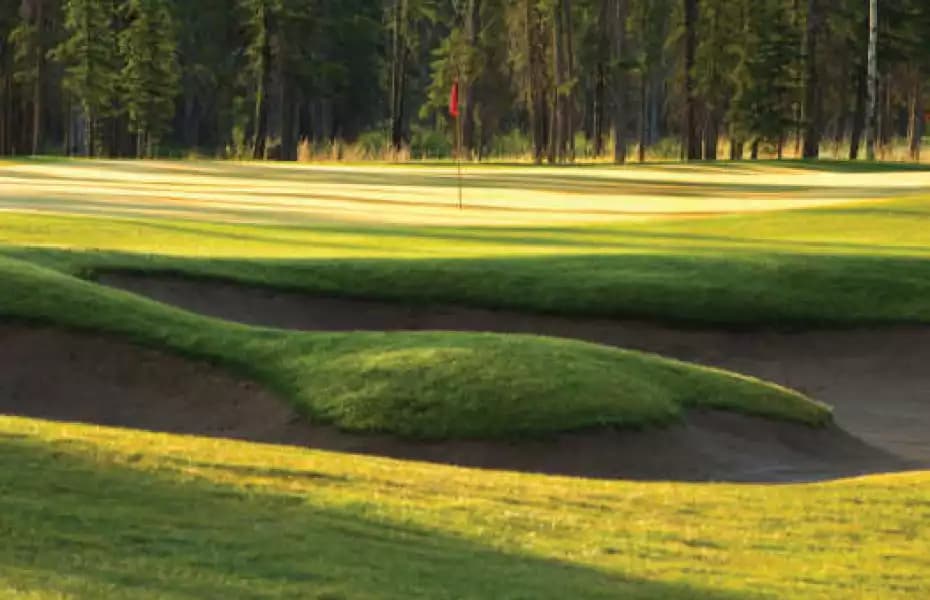 Coyote Creek Golf & RV Resort — photo 3