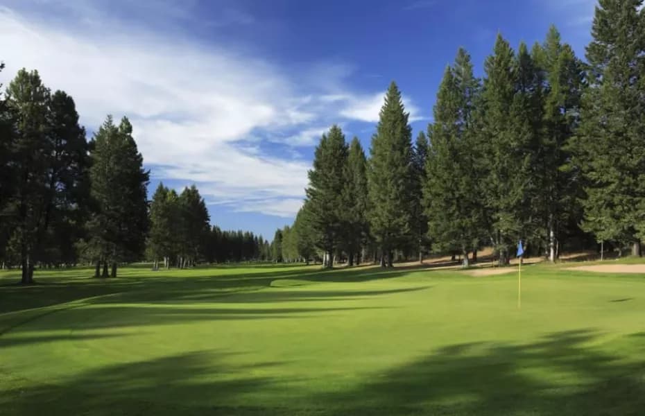 Cranbrook Golf Club golf course
