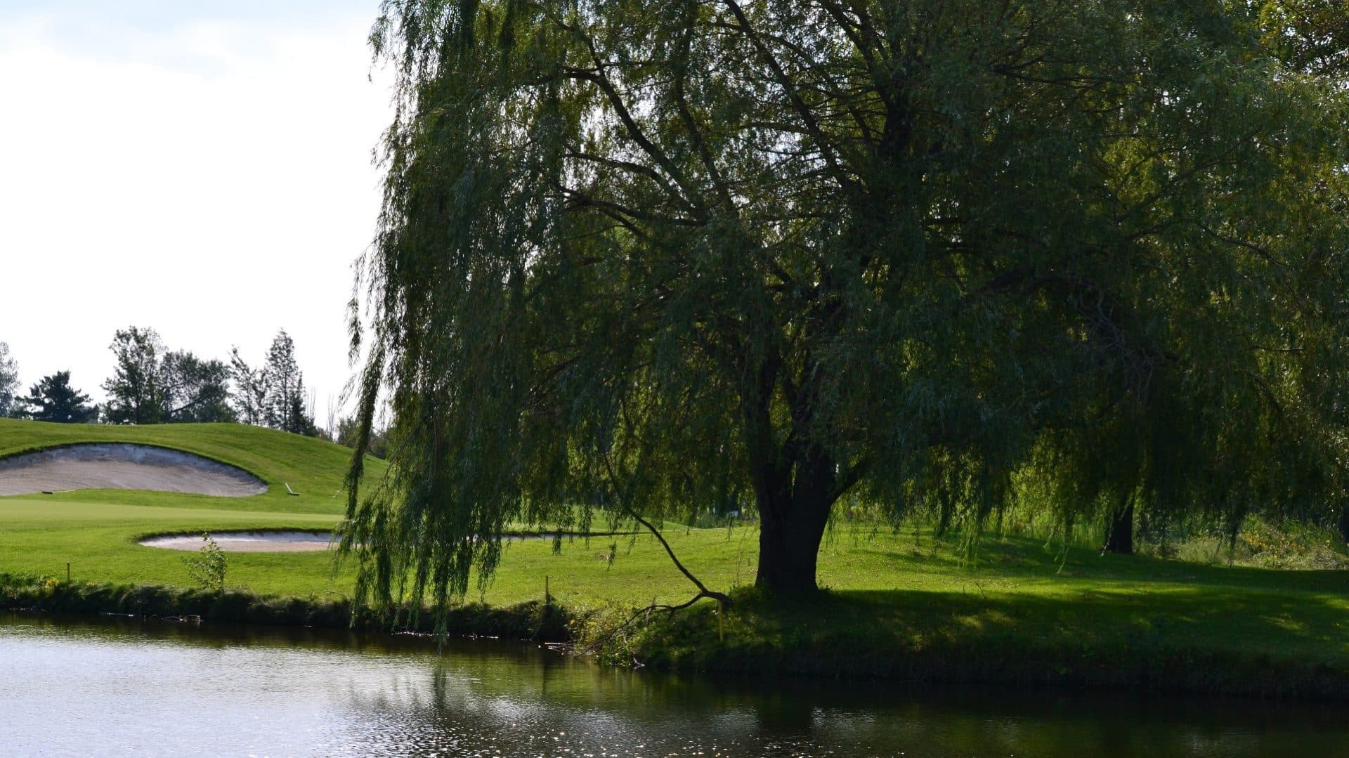 Club de Golf Napierville — photo 4