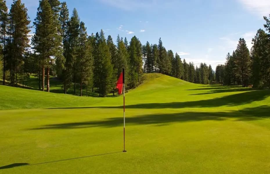 Purcell Golf — photo 4