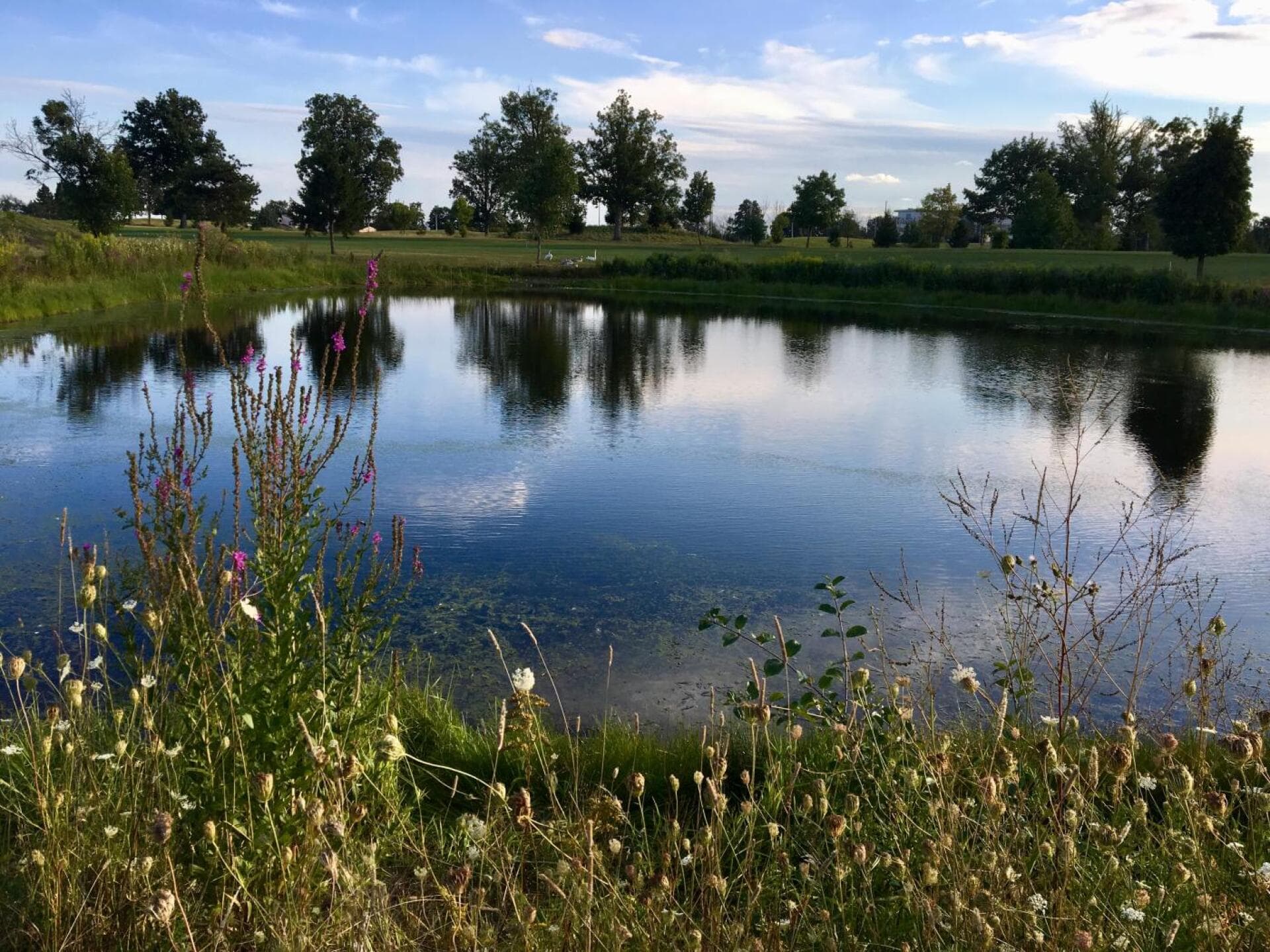 Deerfield Golf Club — photo 2