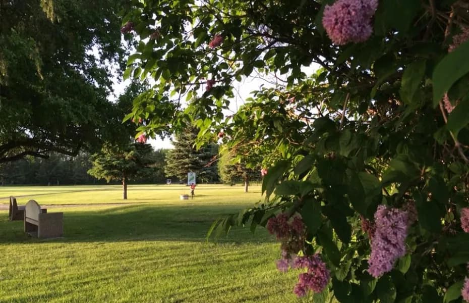 Delahunt Golf & Country Club — photo 3