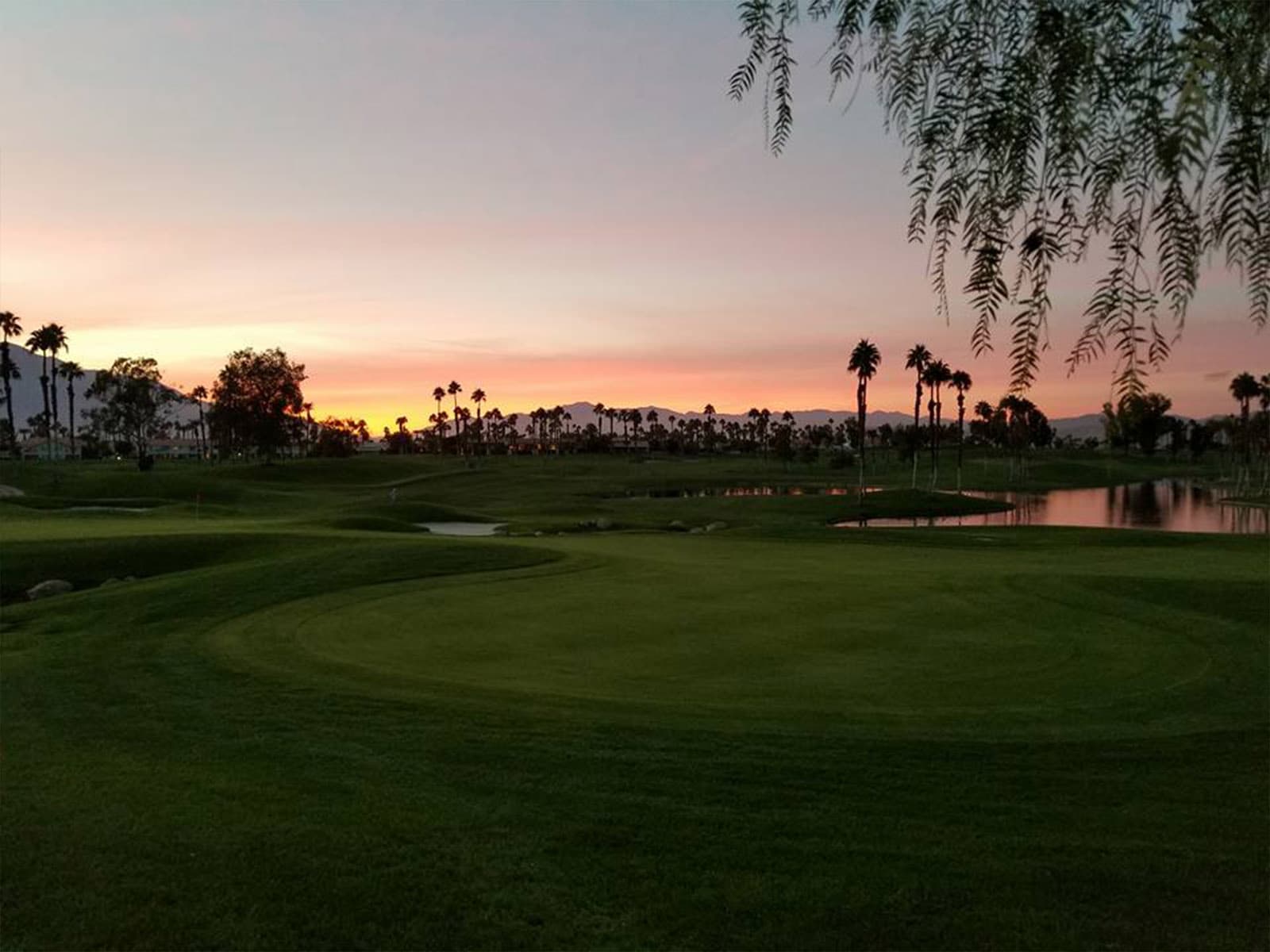 Desert Blume Golf Club — photo 2