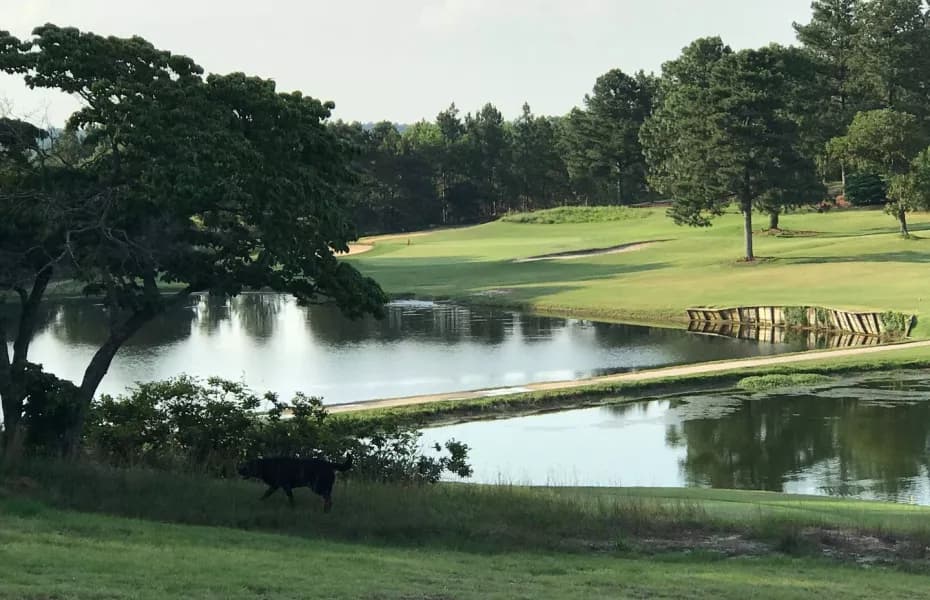 Hyland Golf Club — photo 4