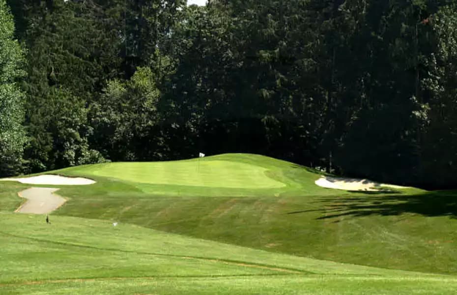 Duncan Meadows Golf Club — photo 2